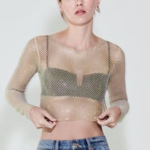 ZARA SHIMMER MESH CROP TOP
